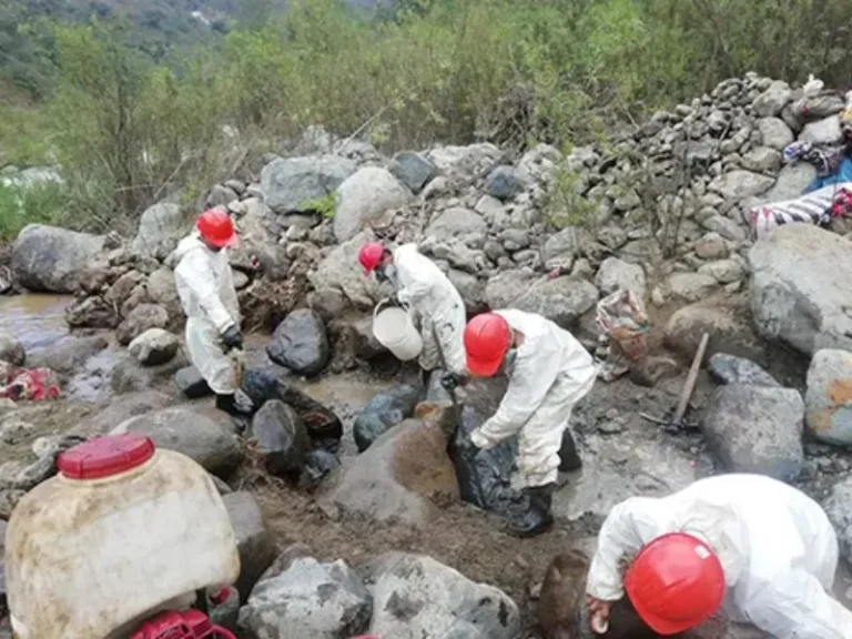 Experiencia Remediacion Ambiental (2)